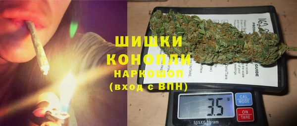 прущий лед Богданович