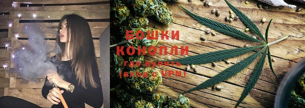 прущий лед Богданович