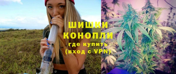 прущий лед Богданович