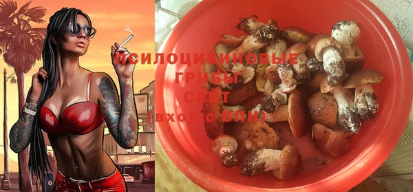 метадон Богородицк