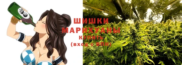 прущий лед Богданович