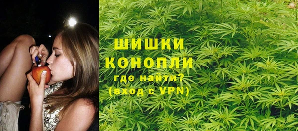 прущий лед Богданович